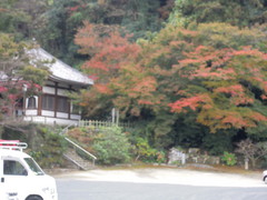 ～往年の名曲も楽しめます～　紅葉見物に出掛けました。