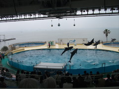 海の中道～志賀島へお出かけしました♪