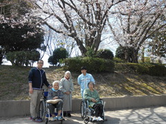 お花見ドライブ