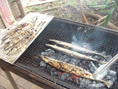 食欲の秋到来！さんまを炭火で焼きました！